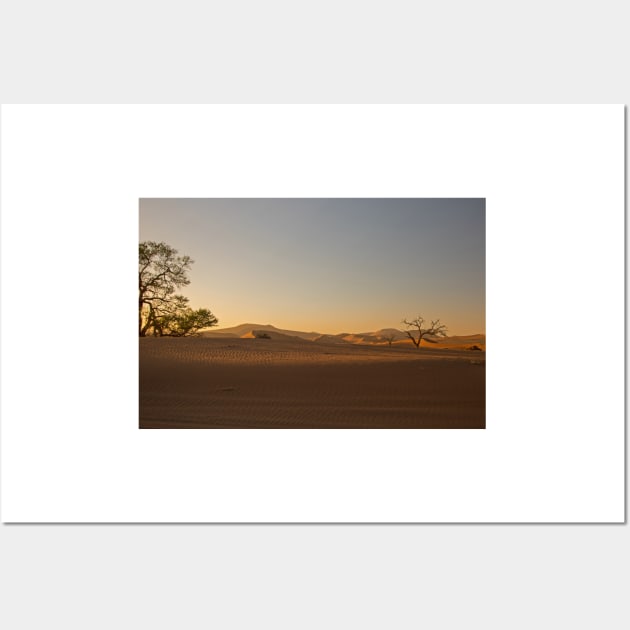 Sunrise at sossusvlei Wall Art by HazelWright